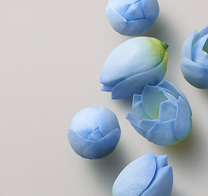 INGREDIENT - EXTENSIONS_0004_Blue Lotus Flower